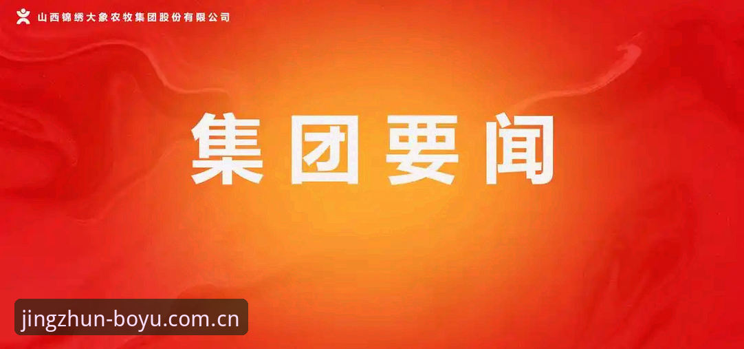 海外华人用博鱼官方主站？先避开这两个常见坑，实战技巧全分享